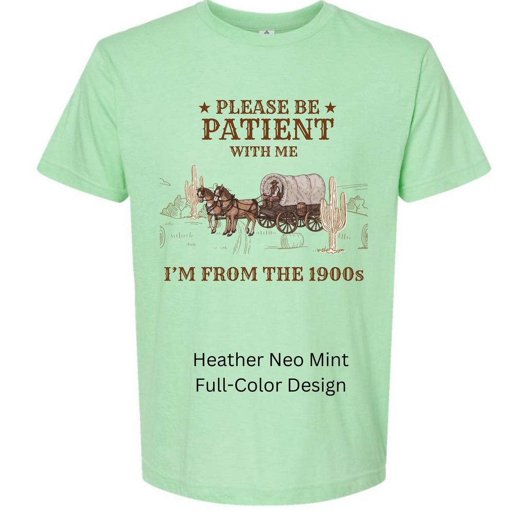 I'm From The 1900s Horse and Cart